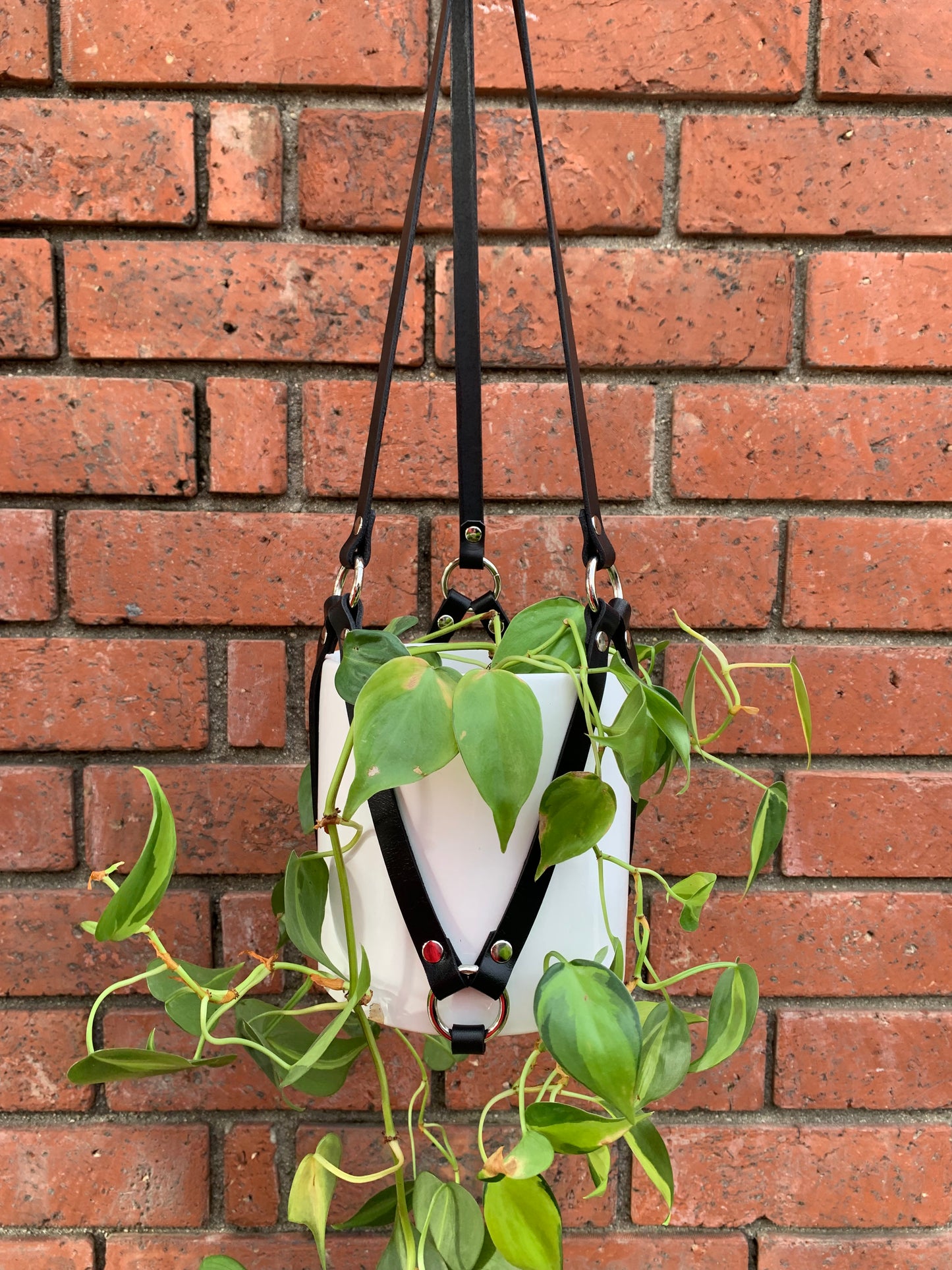 Plant Hangers