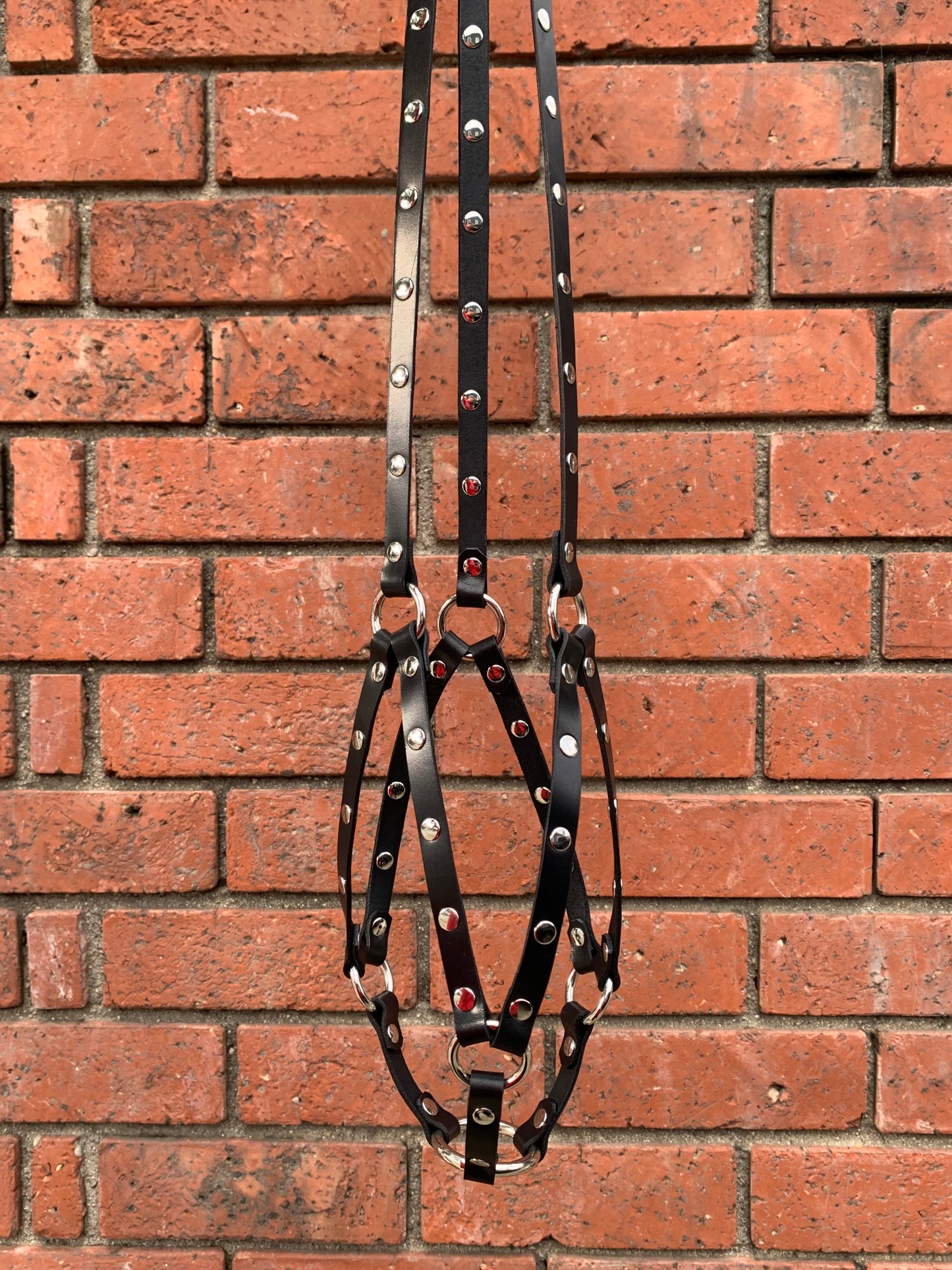 Plant Hangers