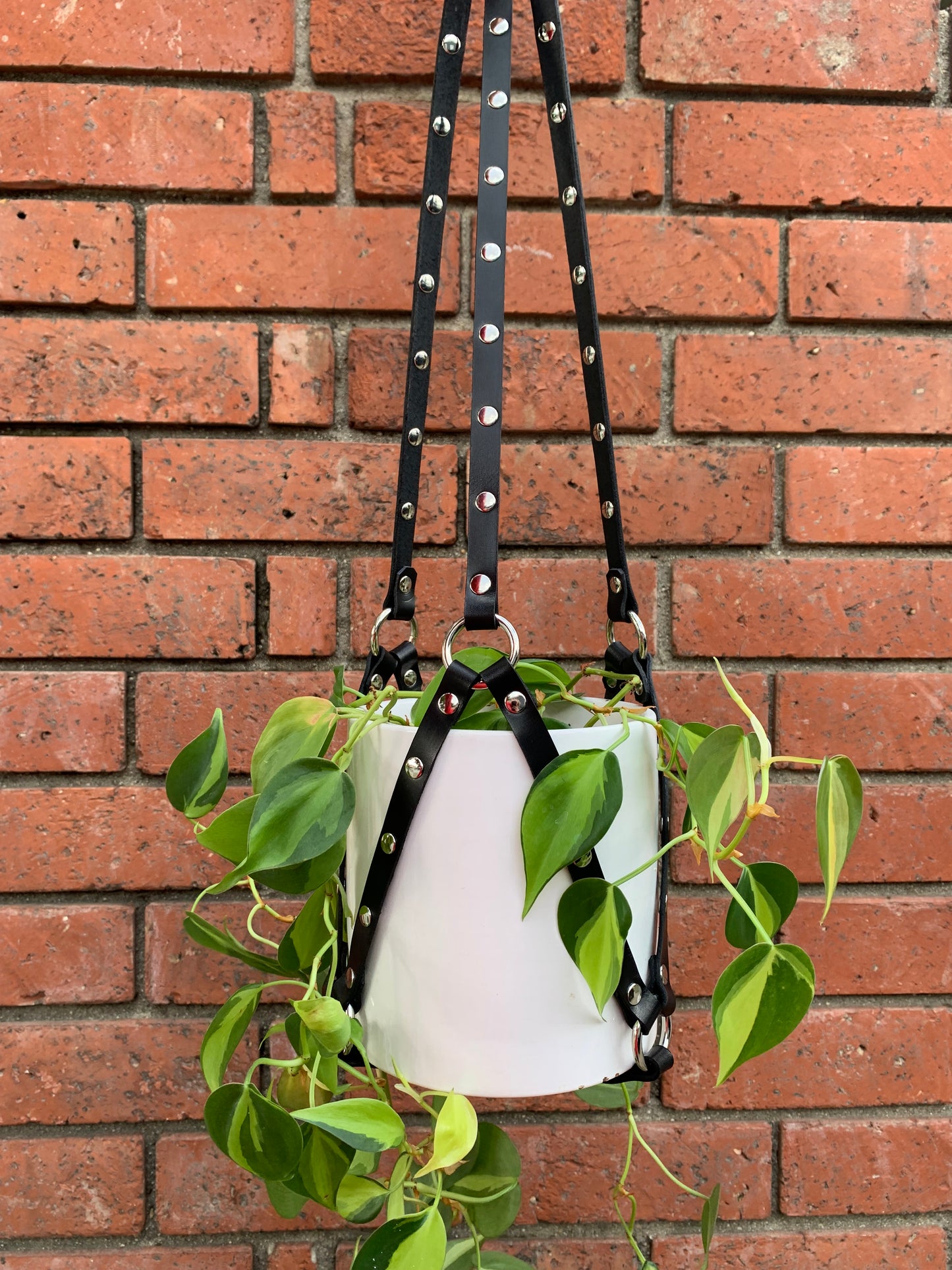 Plant Hangers