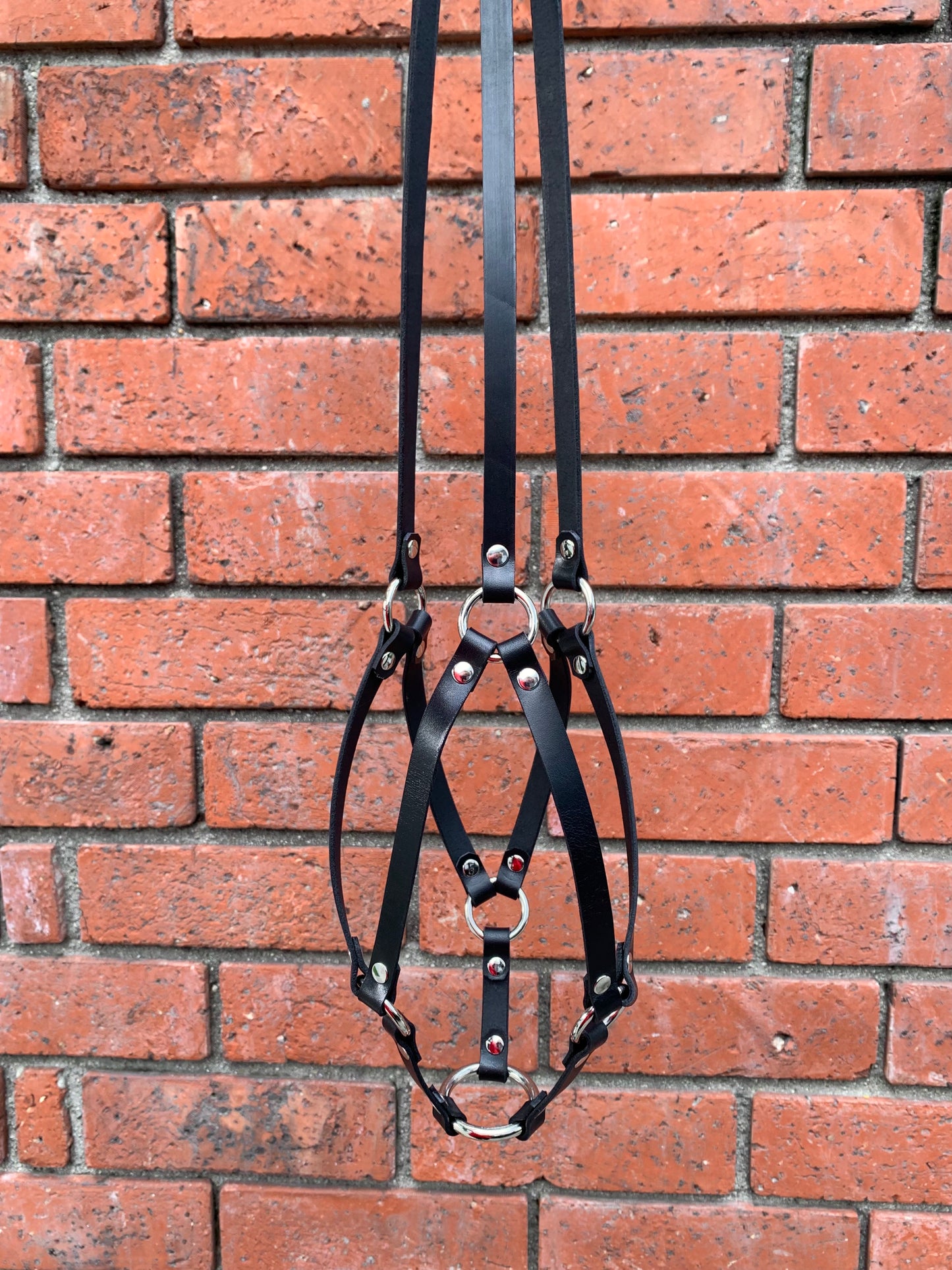 Plant Hangers